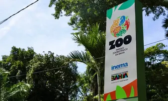 ZOO DE SALVADOR TERÁ VISITAS NOTURNAS GRATUITAS EM OUTUBRO; SAIBA COMO PARTICIPAR
