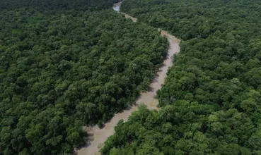 DESMATAMENTO CAI 41,8% NA AMAZÔNIA E 23,8% NO CERRADO EM UM ANO
