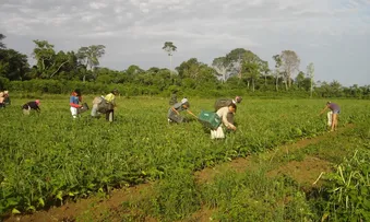 ÓRGÃOS NA BAHIA CONTRATARAM MAIS DE R$ 2,6 MI DE MICROEMPREENDEDORES