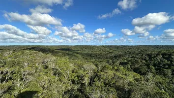 RPPN LONTRA COMPLETA 30 ANOS COMO REFÚGIO PARA ESPÉCIES NA BAHIA