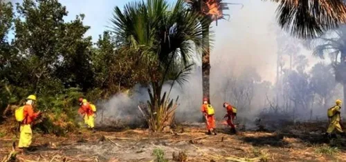 INCÊNDIO FLORESTAL ATINGE PARQUE NACIONAL NO NORTE DA BAHIA
