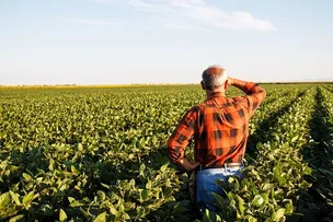 PRODUTOR RURAL PODERÁ REGULARIZAR CADASTRO ONLINE