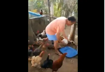 RUI FAZ PUBLICAÇÃO CUIDANDO DE ANIMAIS E VÍDEO VIRALIZA