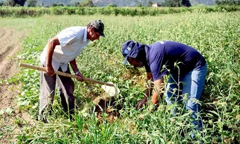 2022 GERA OTIMISMO NO CAMPO E NA CIDADE