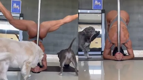 GRACYANNE SE EXERCITA NA COMPANHIA DOS CACHORROS
