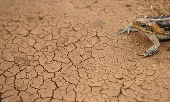 SITUAÇÃO DE EMERGÊNCIA É DECRETADA EM SEIS MUNICÍPIOS