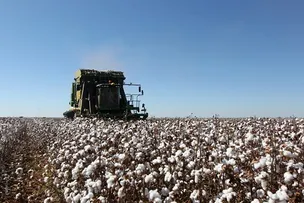 SÃO DESIDÉRIO MANTEVE O MAIOR PIB AGROPECUÁRIO DO BRASIL EM 2019: R$ 1,6 BILHÃO, DIZ IBGE