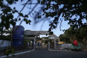 VISITAÇÃO NOTURNA AGORA É POSSÍVEL NO ZOÓLOGICO DE SALVADOR; SAIBA DETALHES