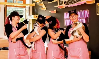 EMPREENDEDORA FAZ SUCESSO COM CAFETERIA TEMÁTICA DE GATOS