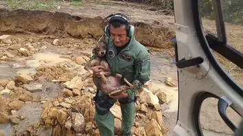 OITO PESSOAS E TRÊS CACHORROS SÃO RESGATADOS EM IGUAÍ