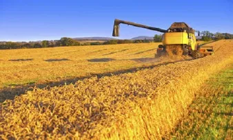 EXPORTAÇÕES AGROPECUÁRIAS CRESCERAM 19,7% EM 2021, DIZ CNA
