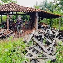 SERRARIA COM ESPÉCIES DE MADEIRAS EM EXTINÇÃO É DESCOBERTA