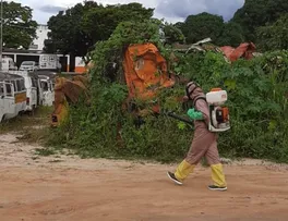 ITAPETINGA: COMBATE INTENSO AO AEDES AEGYPTI EVITA SURTOS