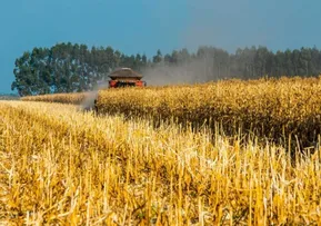 VENDA DE FERTILIZANTES DE BELARUS É INTERROMPIDA