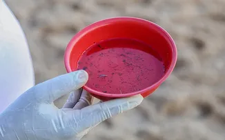 CASOS DE DENGUE, ZIKA E CHIKUNGUNYA CAEM 54% EM SALVADOR
