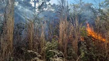 SÃO DESIDÉRIO: INCÊNDIO DE GRANDES PROPORÇÕES É EXTINTO