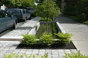 SALVADOR DESENVOLVE PROJETO DE JARDIM DE CHUVA