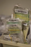DOCUMENTOS PERDIDOS NO CARNAVAL SERÃO PEGOS PELA PM