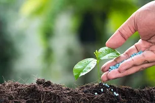 GUERRA NA UCRÂNIA PODE AFETAR BRASIL NA ÁREA DE FERTILIZANTES