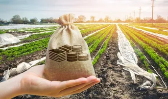 AGROPECUÁRIA BAIANA TEVE IMPULSO DE 3,6%. ENTENDA