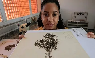 BAIANA DESCOBRE NOVAS ESPÉCIES DE ALGAS EM PARCERIA COM HARVARD