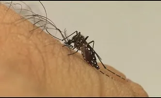 1ª VACINA CONTRA DENGUE É APROVADA PELA ANVISA
