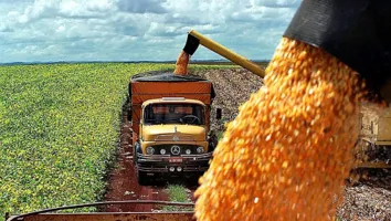 20 DAS 26 SAFRAS DE PRODUTOS NA BAHIA SERÃO MENORES