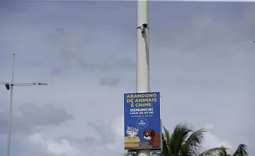 PREFEITURA INSTALA CÂMERAS NA COLÔNIA DE GATOS, EM PIATÃ