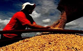 COLHEITA DE GRÃOS DEVE CRESCER MAIS DE 8% NA BAHIA