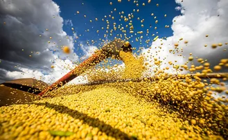 ESTIMATIVA PARA A SAFRA BAIANA DE GRÃOS EM 2023 MANTÉM PREVISÃO DE QUEDA, DIZ IBGE