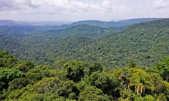APROVADA A G​ESTÃO DE FLORESTAS PÚBLICAS POR CONCESSÃO