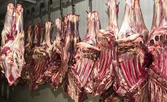 ESTUDO APONTA QUE VALOR DA CARNE PODE CAIR 4% EM 2023