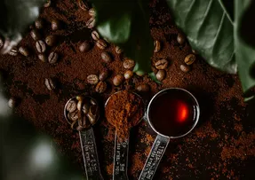 SALVADOR RECEBE A PRIMEIRA FEIRA BAIANA DE CAFÉS ESPECIAIS
