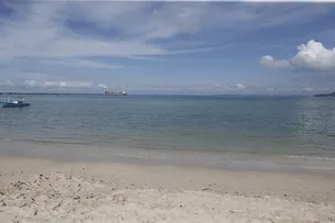 PEIXES E SIRIS APARECEM MORTOS EM PRAIA DE SÃO TOMÉ DE PARIPE