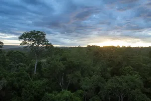 DIA NACIONAL DA MATA ATLÂNTICA: BIOMA ESTÁ AMEAÇADO