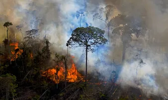 DESMATAMENTO NO BRASIL CRESCEU 22% NO ANO PASSADO