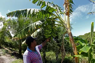 POLÍTICA ESTADUAL DE AGROECOLOGIA GARANTE EXTENSÃO RURAL PARA A AGRICULTURA FAMILIAR NA BAHIA
