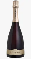 PARA O DIA DOS NAMORADOS, SALTON APRESENTA SEU NOVO ESPUMANTE SALTON ÉVIDENCECUVÉEBRUT ROSÉ