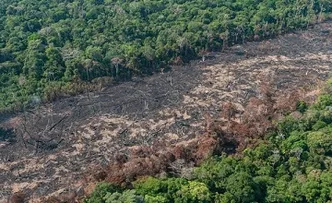DESMATAMENTO NA AMAZÔNIA CAI 31% DE JANEIRO A MAIO