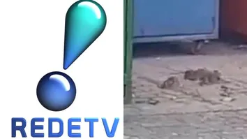 REDETV SOFRE INFESTAÇÃO DE RATOS PRÓXIMO A PROGRAMA CULINÁRIO