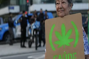 GOVERNO QUER REGULAR PLANTIO DE CANNABIS NO BRASIL PARA USO MEDICINAL; ENTENDA