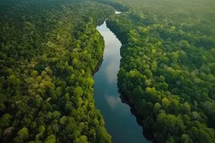 GREENPEACE BRASIL ALERTA PARA RISCOS DO PL DA DEVASTAÇÃO PARA FOZ DO AMAZONAS