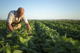 CMN FACILITA ACESSO DE AGRICULTOR FAMILIAR A FUNDO DE REFORMA AGRÁRIA