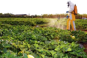 STF DERRUBA REGRAS QUE REDUZIAM CONTROLE DE QUALIDADE DE AGROTÓXICOS