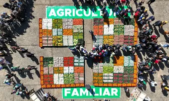 PUBLICADA LEI QUE INSTITUI O PROGRAMA DE AQUISIÇÃO DE ALIMENTOS