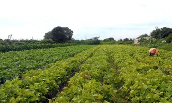 JERÔNIMO VAI LANÇAR PLANO DE DESENVOLVIMENTO PARA COMUNIDADES RURAIS