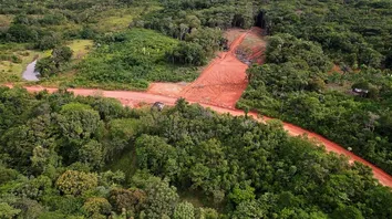 CÚPULA DA AMAZÔNIA COMEÇA NESTA TERÇA E REÚNE LÍDERES EM BELÉM (PA)