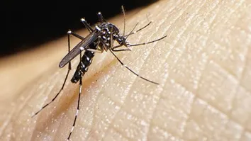 CRIANÇAS VÍTIMAS DO ZIKA VÍRUS TERÃO DIREITO À PENSÃO; PROJETO SEGUE PARA O SENADO