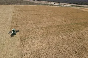 MINISTRO AUTORIZA ESTUDOS PARA VIABILIZAR PROJETO DE IRRIGAÇÃO NA BAHIA
