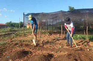 PROMOVIDA PELA EMBRAPA, CARAVANA FERTBRASIL VEM À BAHIA ESTIMULAR BOM USO DO SOLO